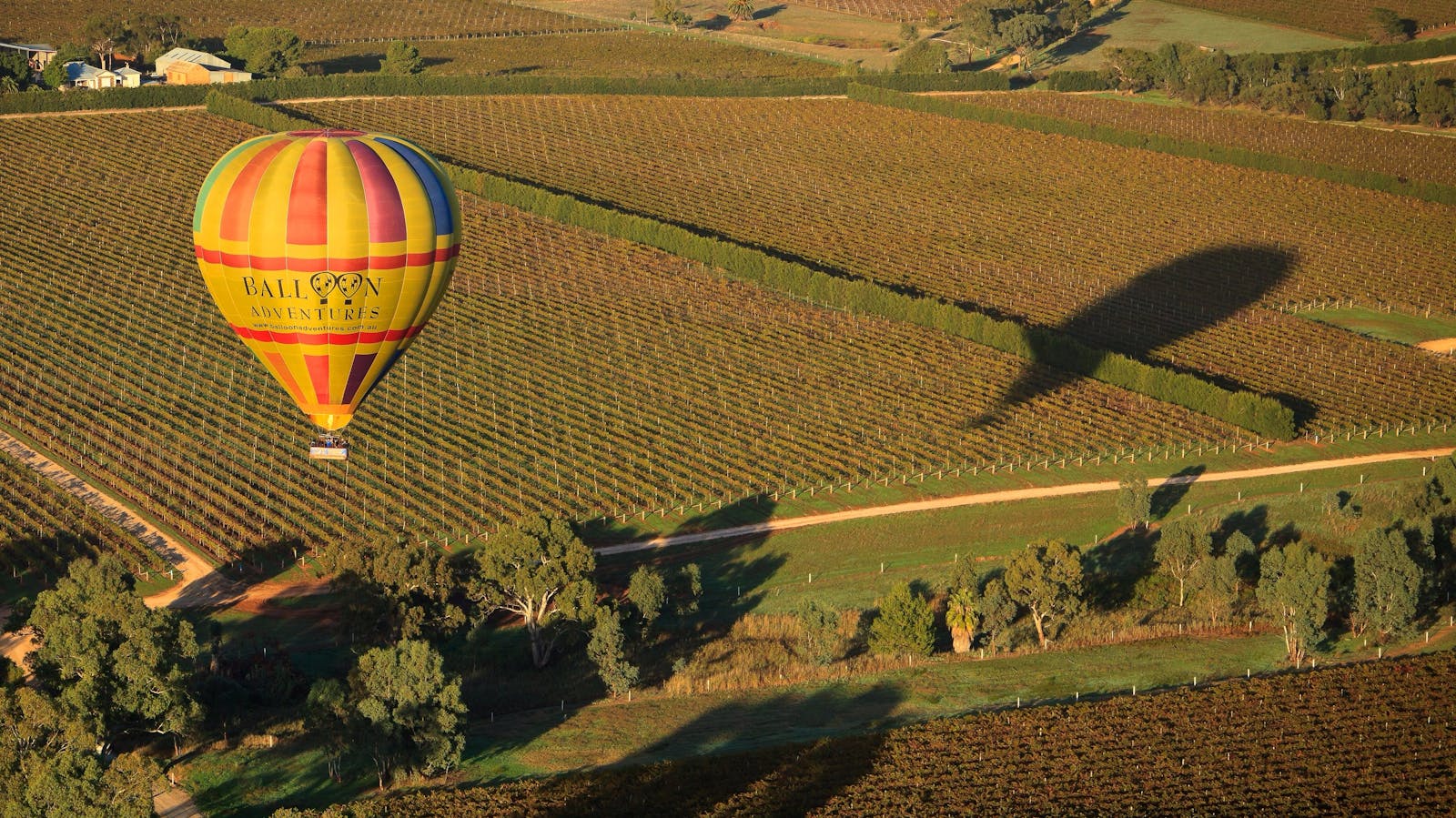 Barossa Balloon Adventures