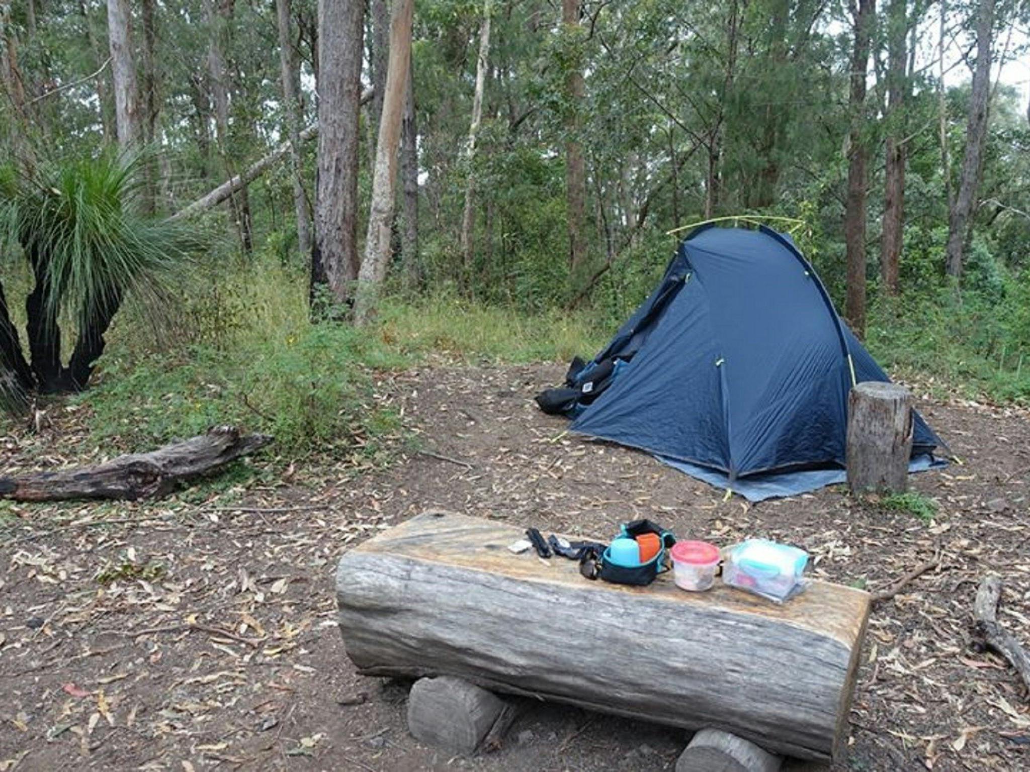 A tent set up in Northbrook Mountain Bush Camp