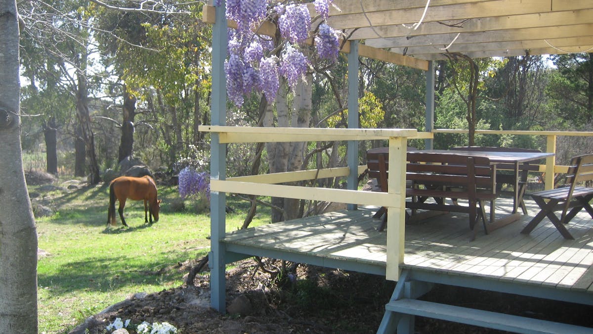 Front Deck