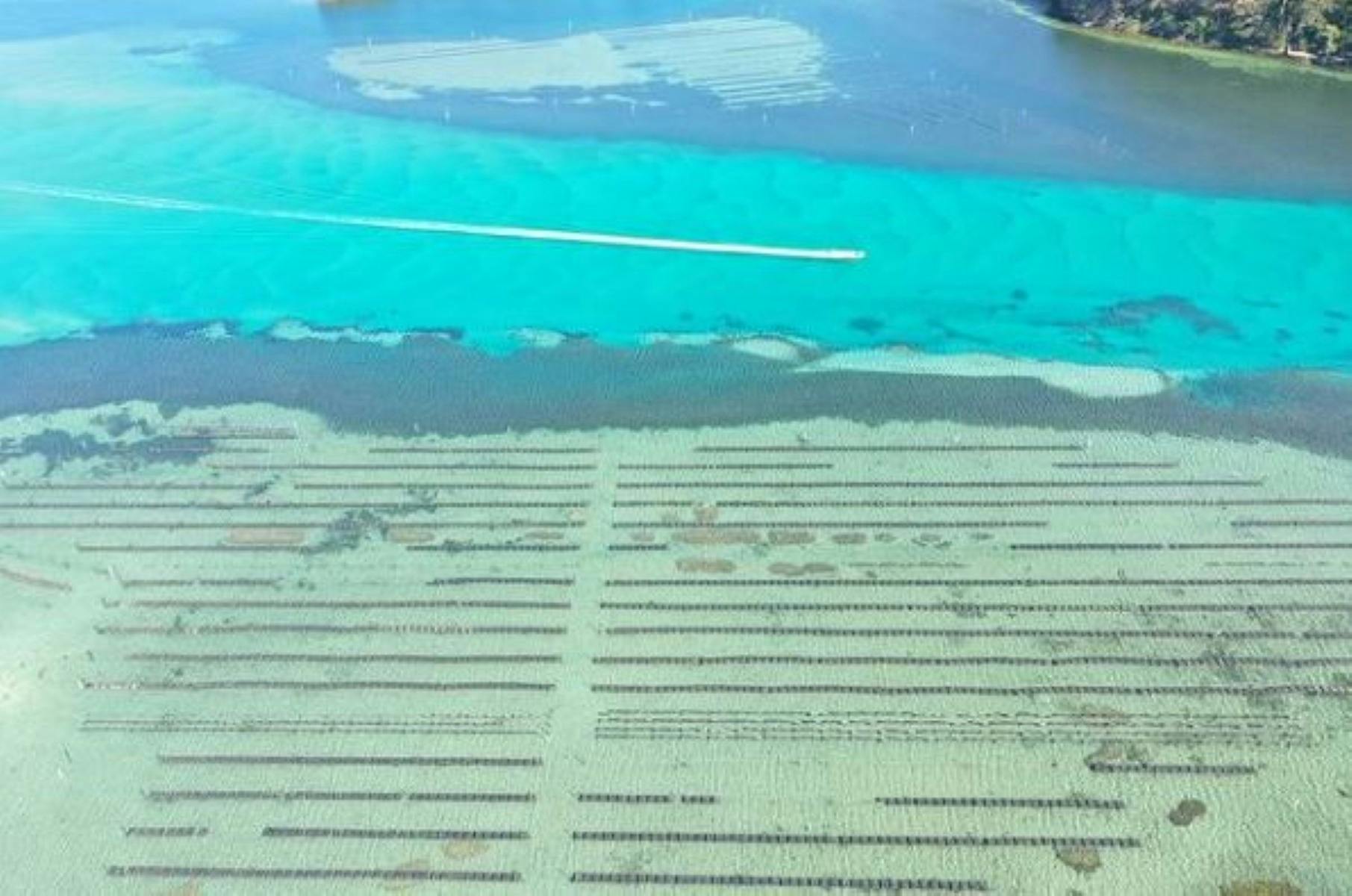 Aerial shot of oyster lease, Wagonga Inlet Narooma