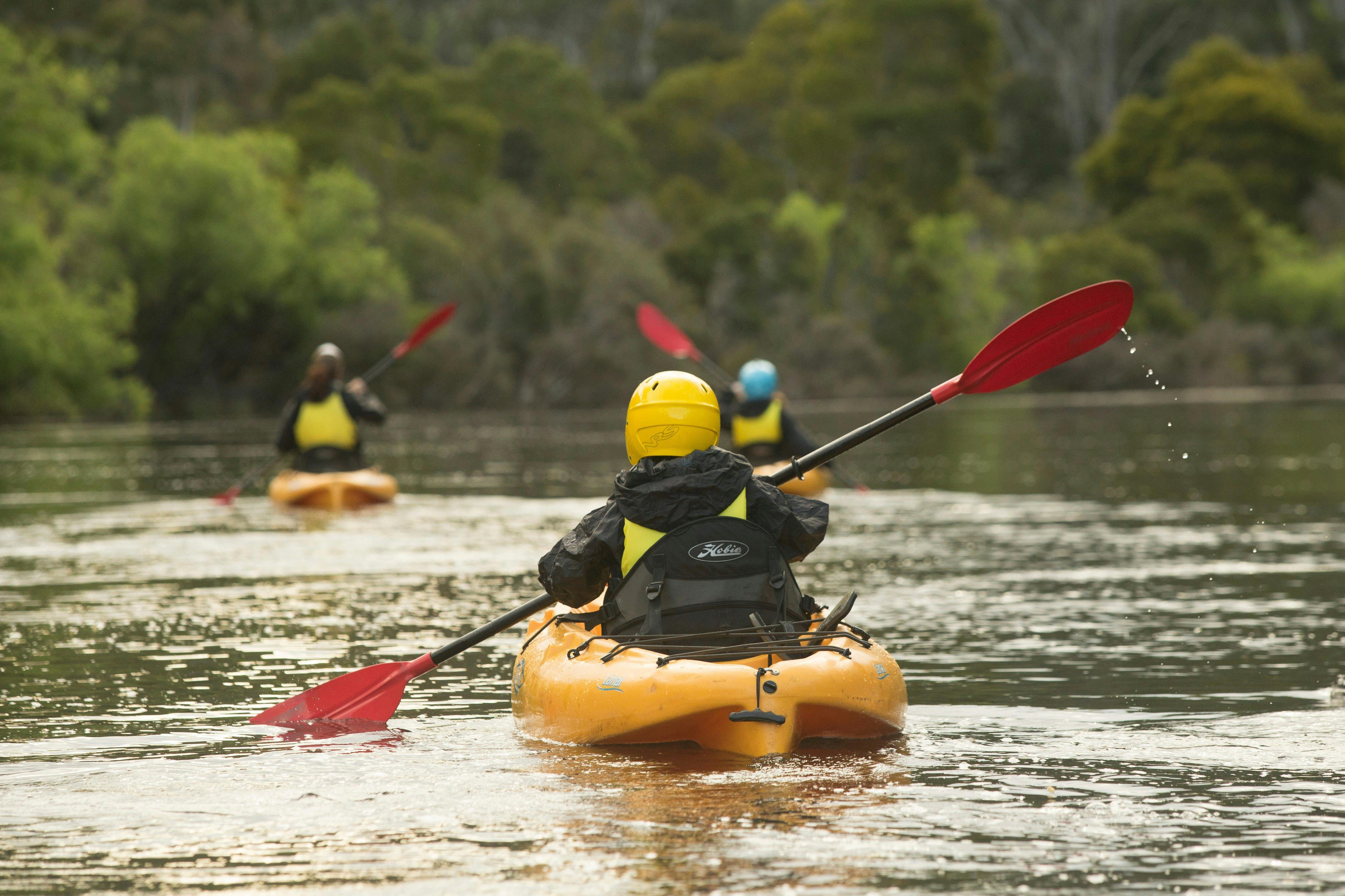 Children Paddling with the Platypus