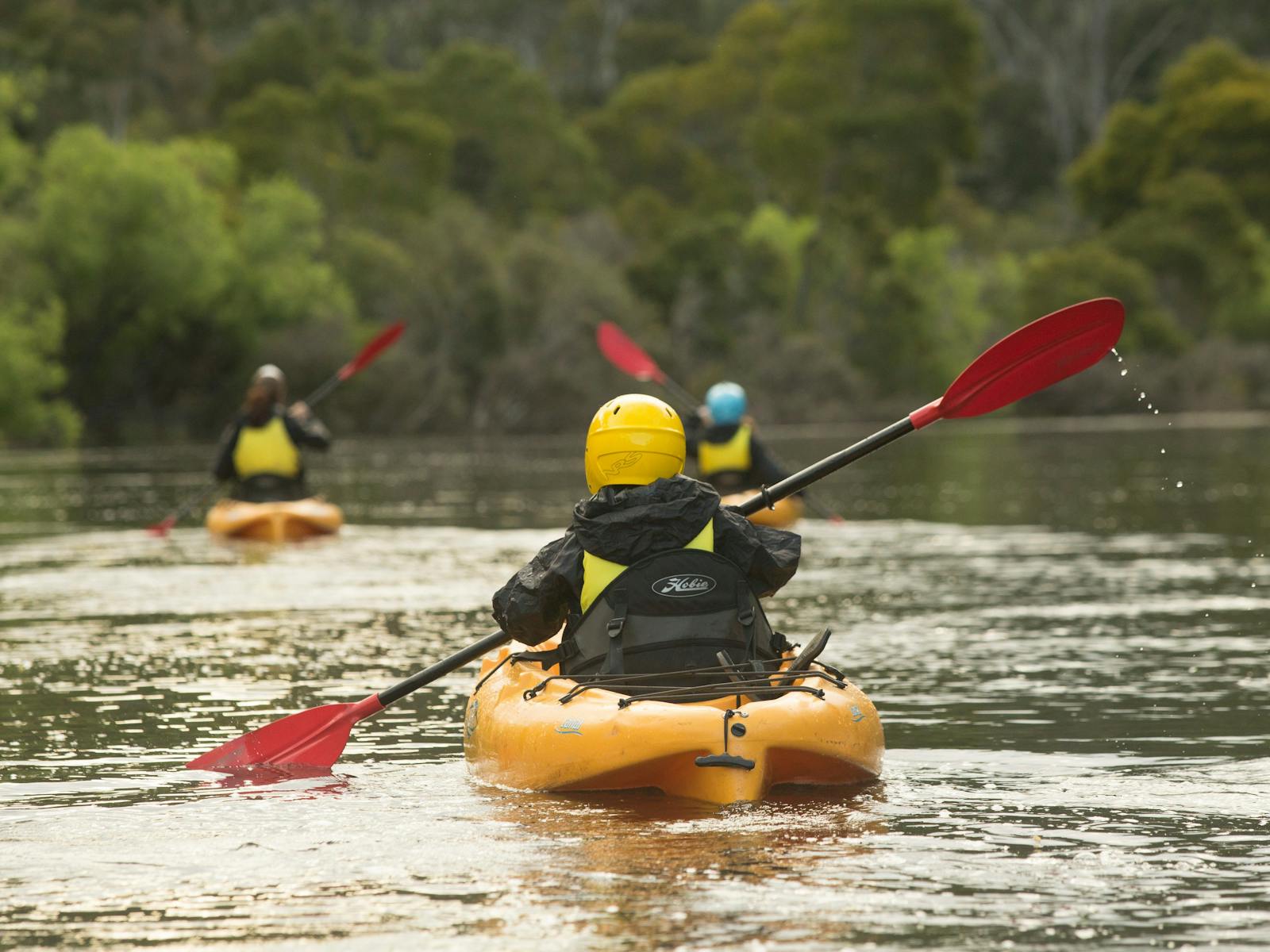 Children Paddling with the Platypus