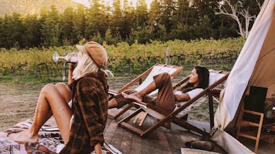 Edgar sits at the top of the vineyard, worth the uphill walk with views into the vines and pines