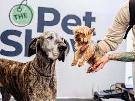 The Pet Show | Adelaide Cover Image
