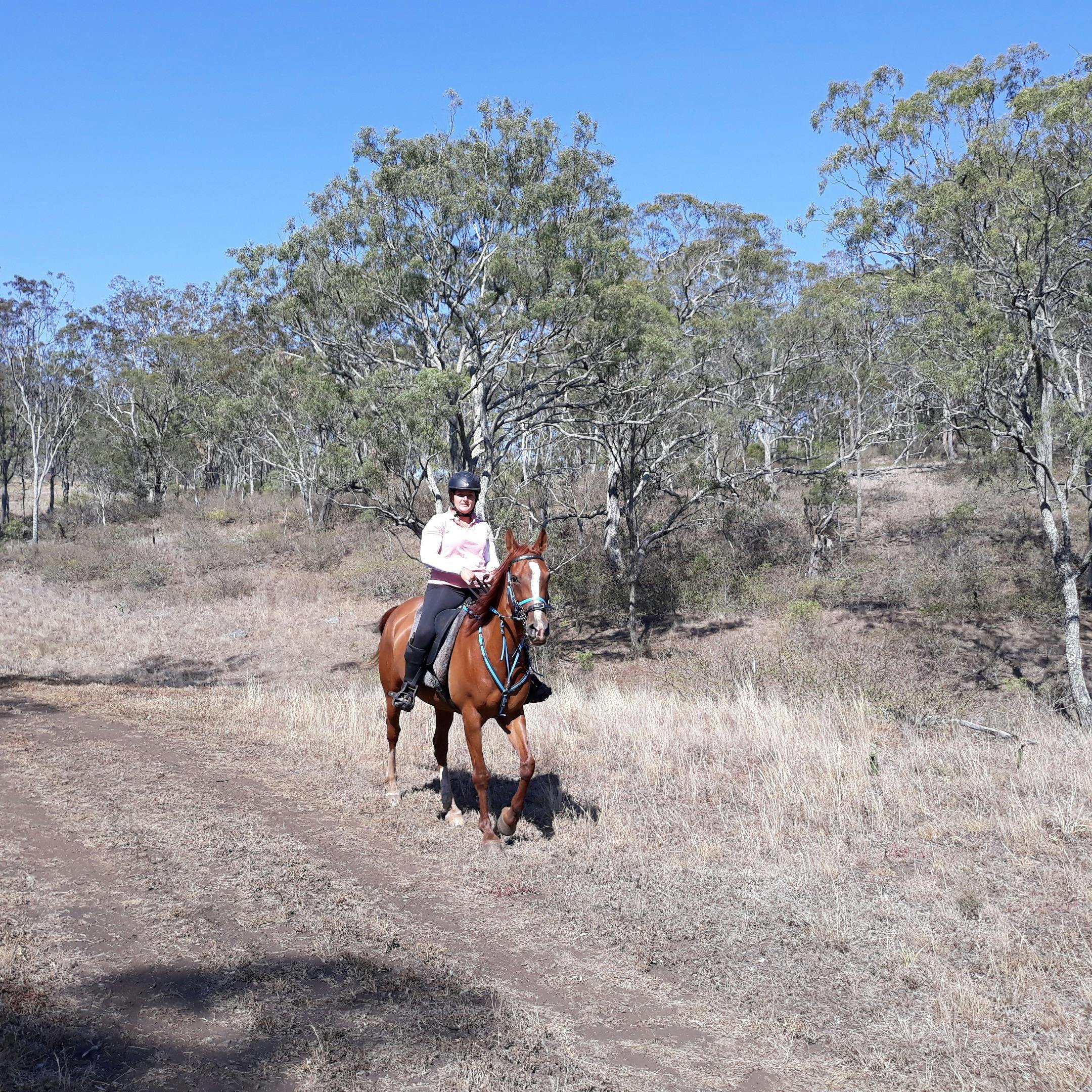 Mount Peel bushwalking, mountain biking and horse-riding trails