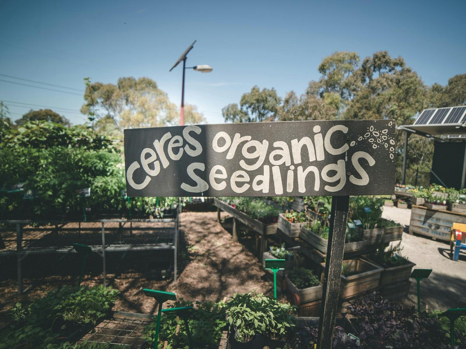 Our propagation team grow organic seedlings on site, so you'll find rare and exciting varietals.