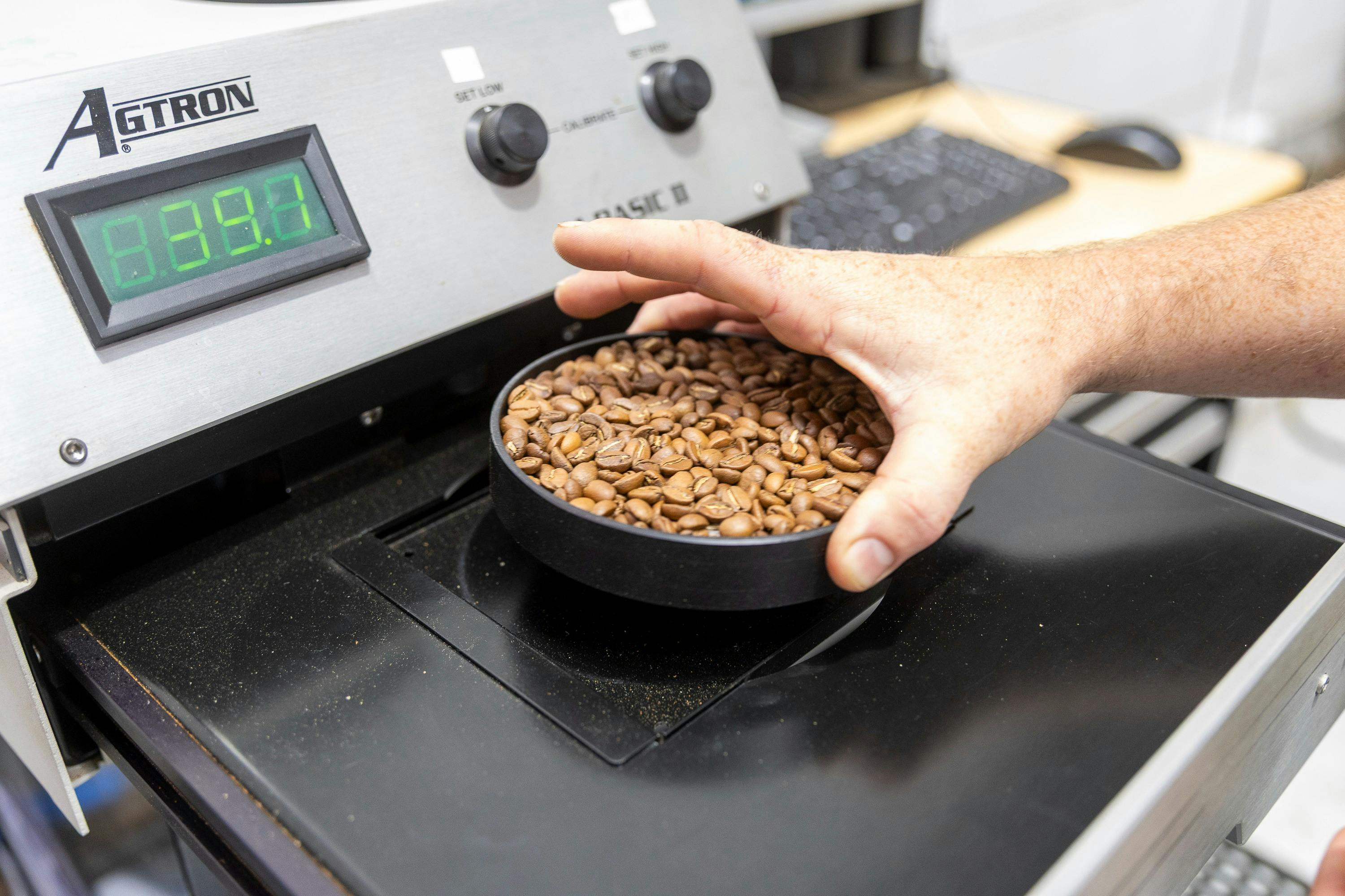 The image shows a tray of roasted coffee being placed into an "Agtron" colour meter.