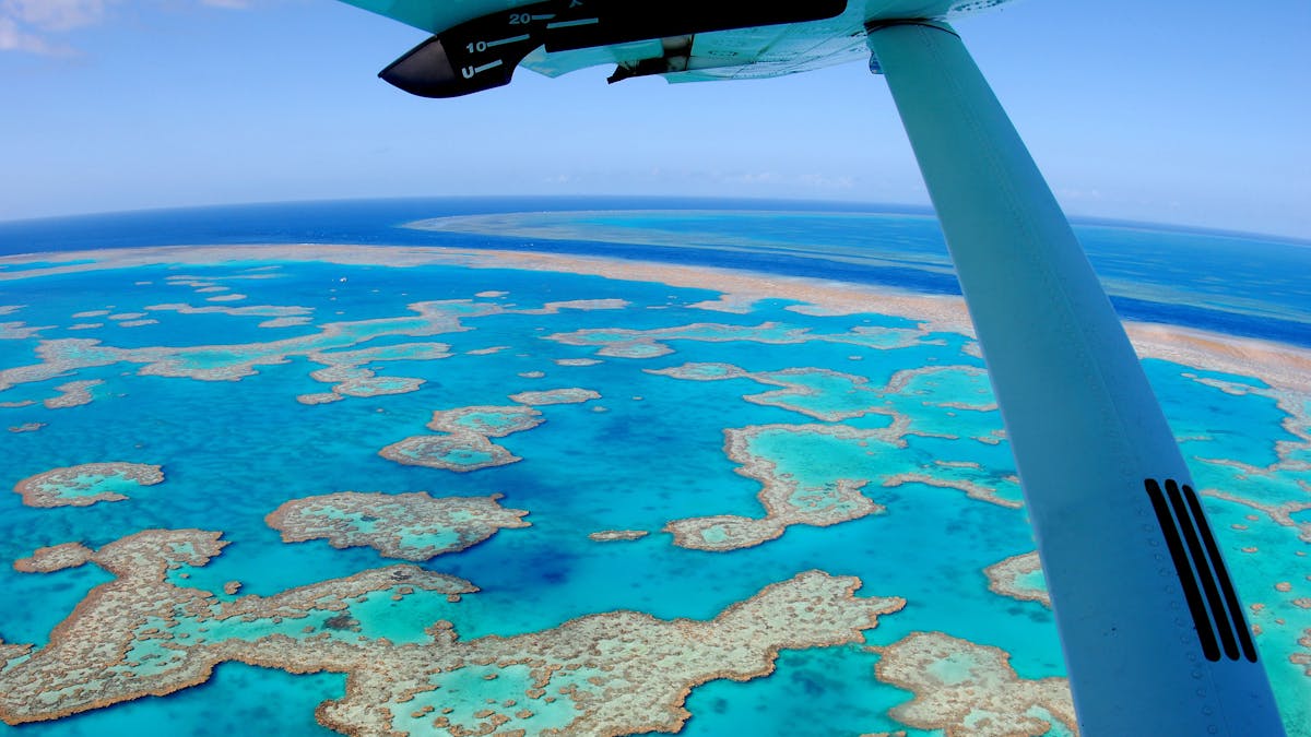 Aerial view of the calm turquoise water surrounded by coral reefs including heart shaped reef