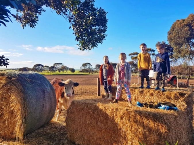Pegs Place Farm Stay Guest House