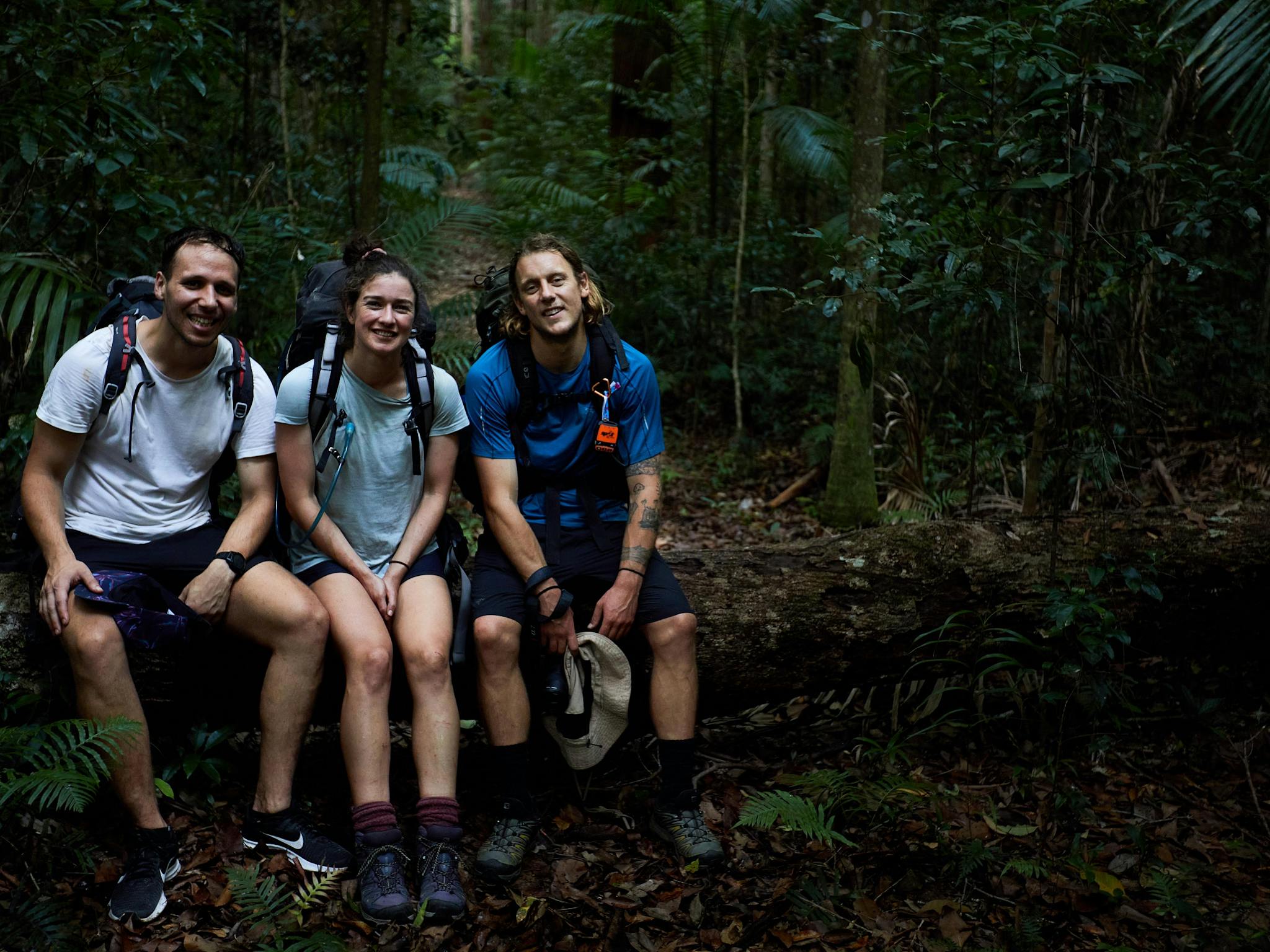 Adventure the Valley of the Giants with friends or family - minimum 2 people and maximum 6. Adventure the Valley of the Giants with friends or family - minimum 2 people and maximum 6.
