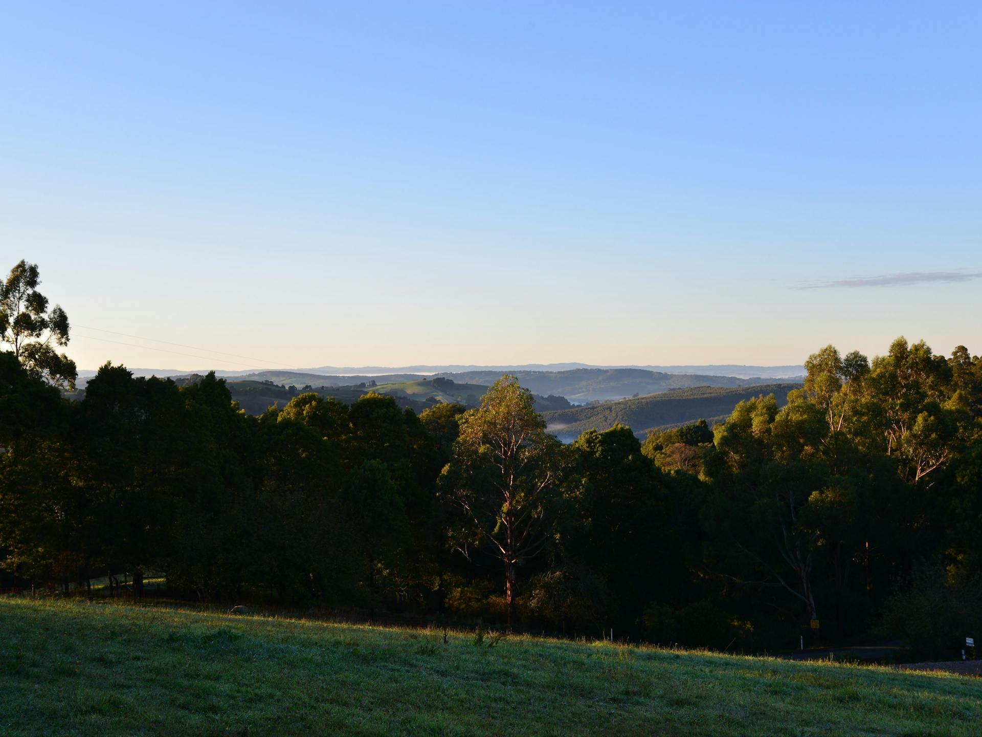Allambee Camp in Allambee Reserve - The Fold: Your Guide to Everything ...
