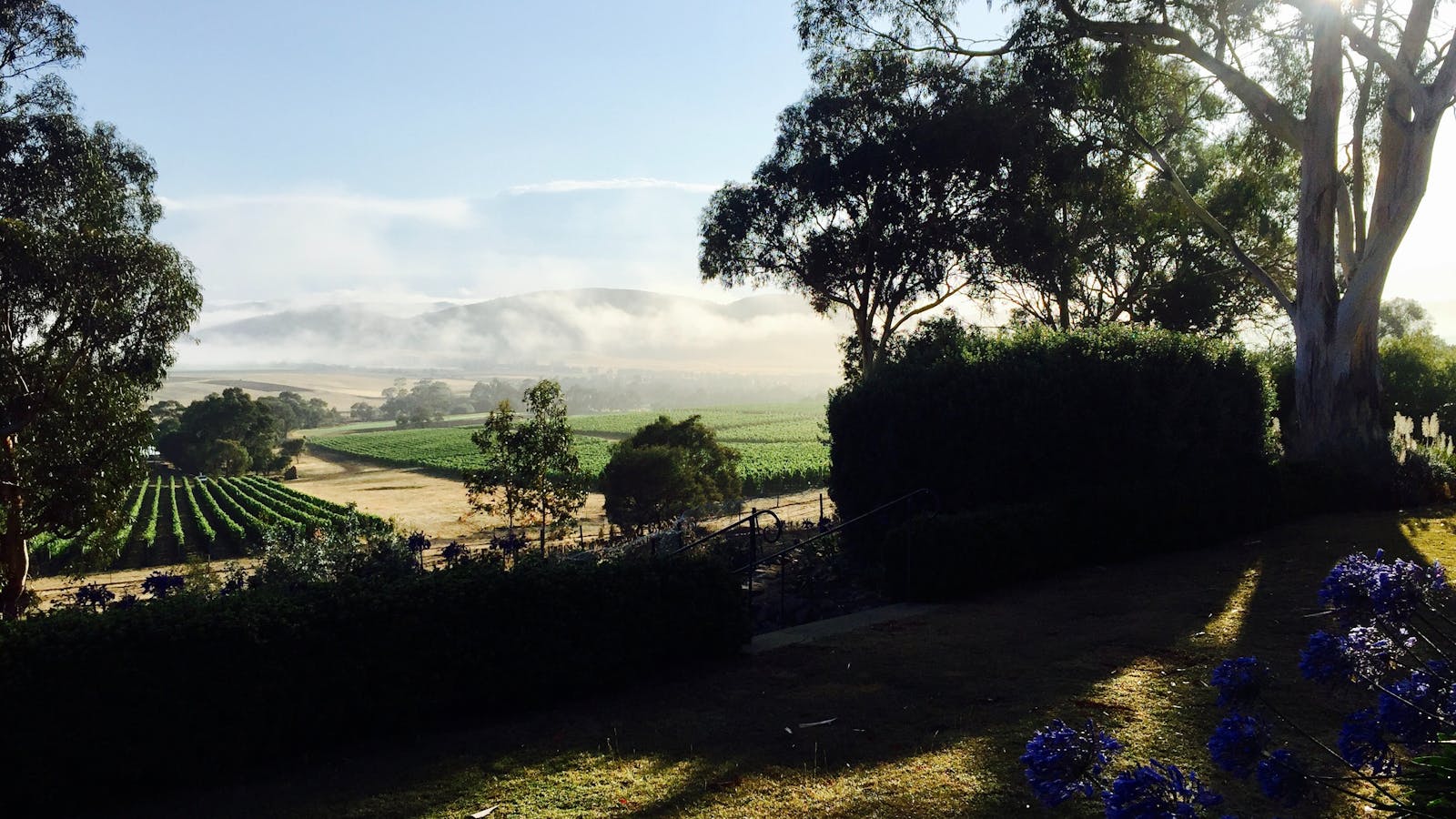 Valley Views