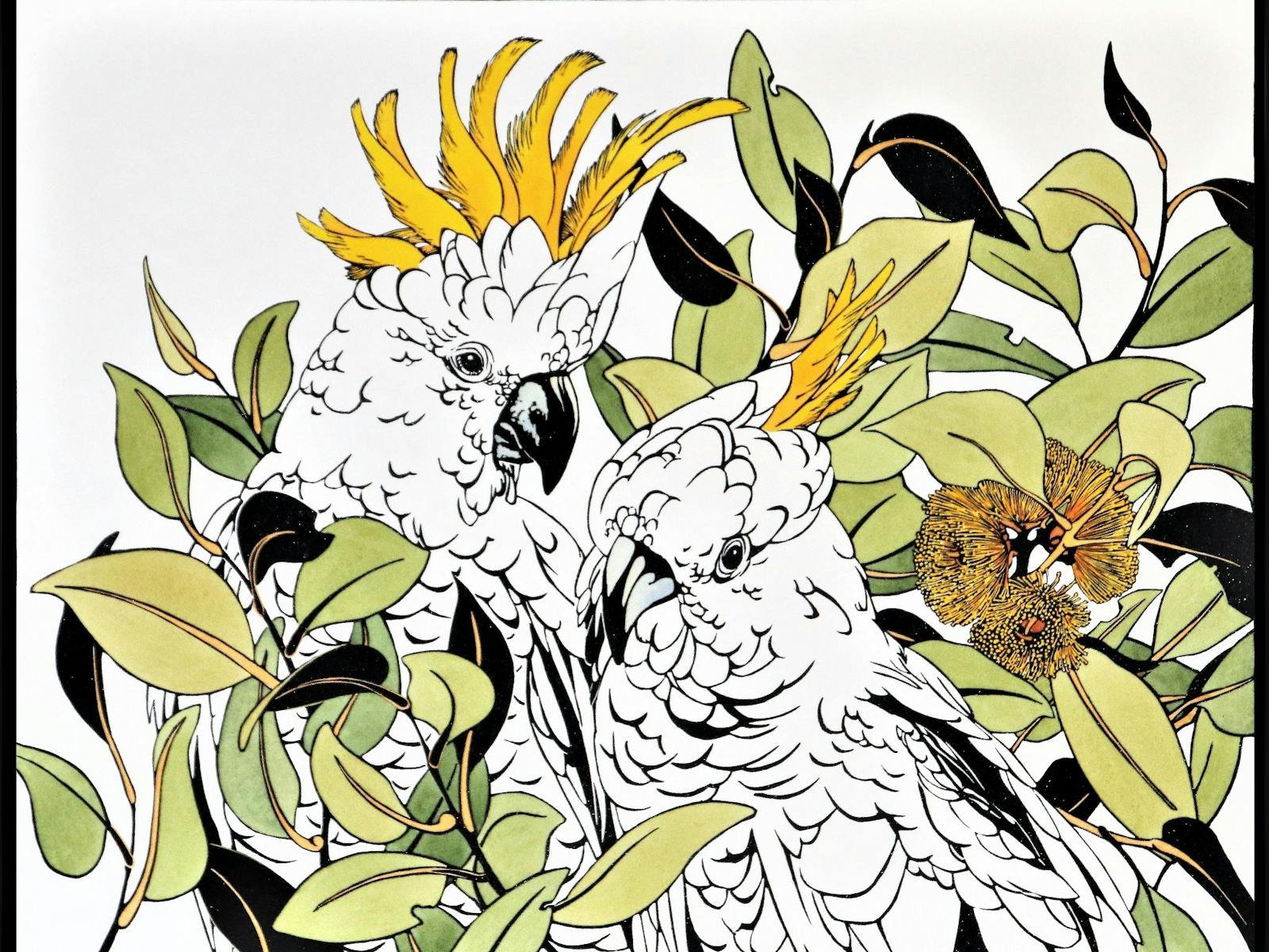 Image for "Birds & Blooms" - exhibition by Vida Pearson