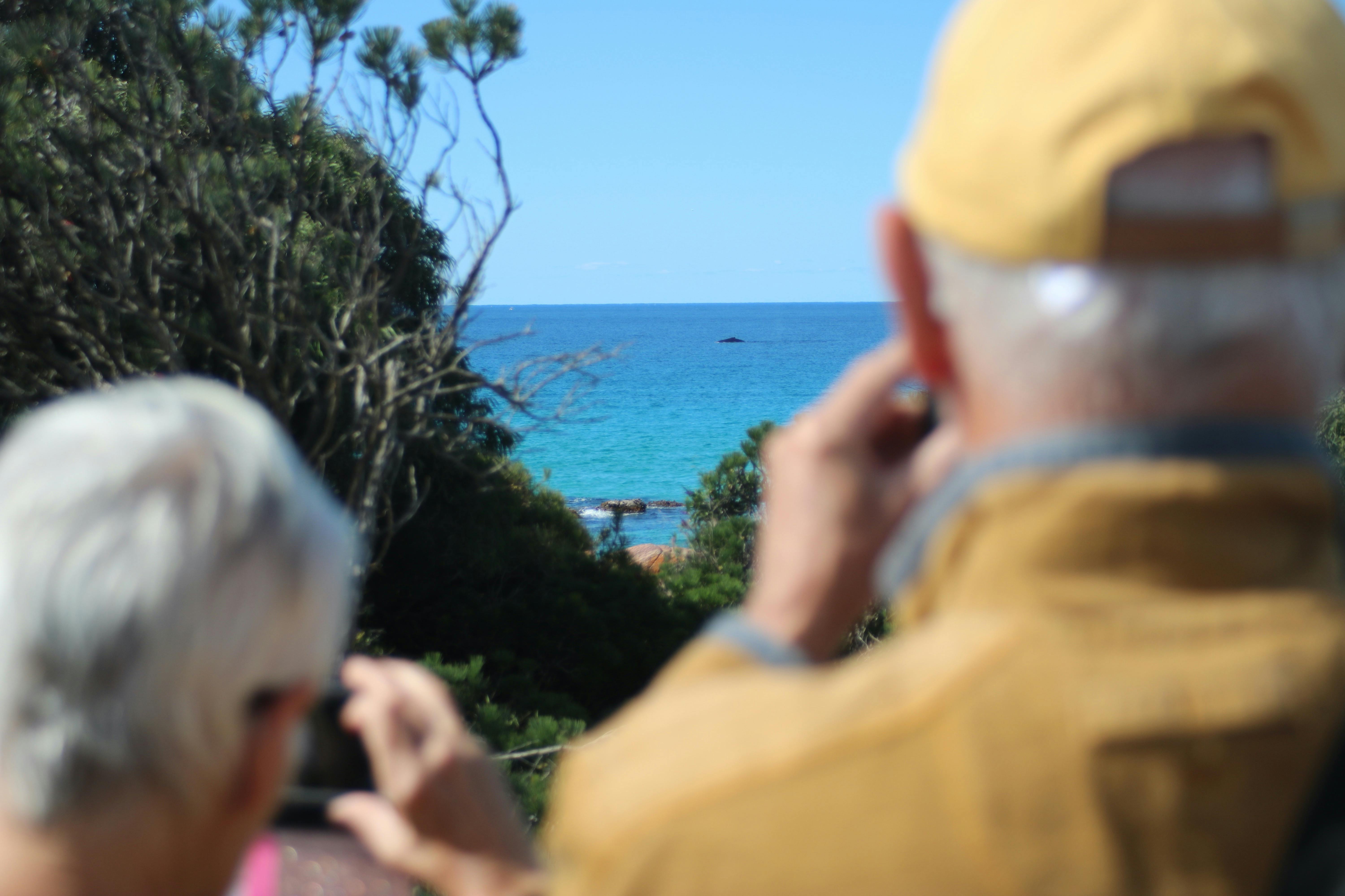 South West Eco Discoveries, Busselton, Western Australia