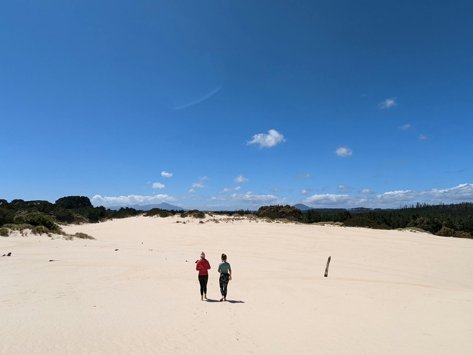 Henty Sand Dunes, West Coast Tasmania