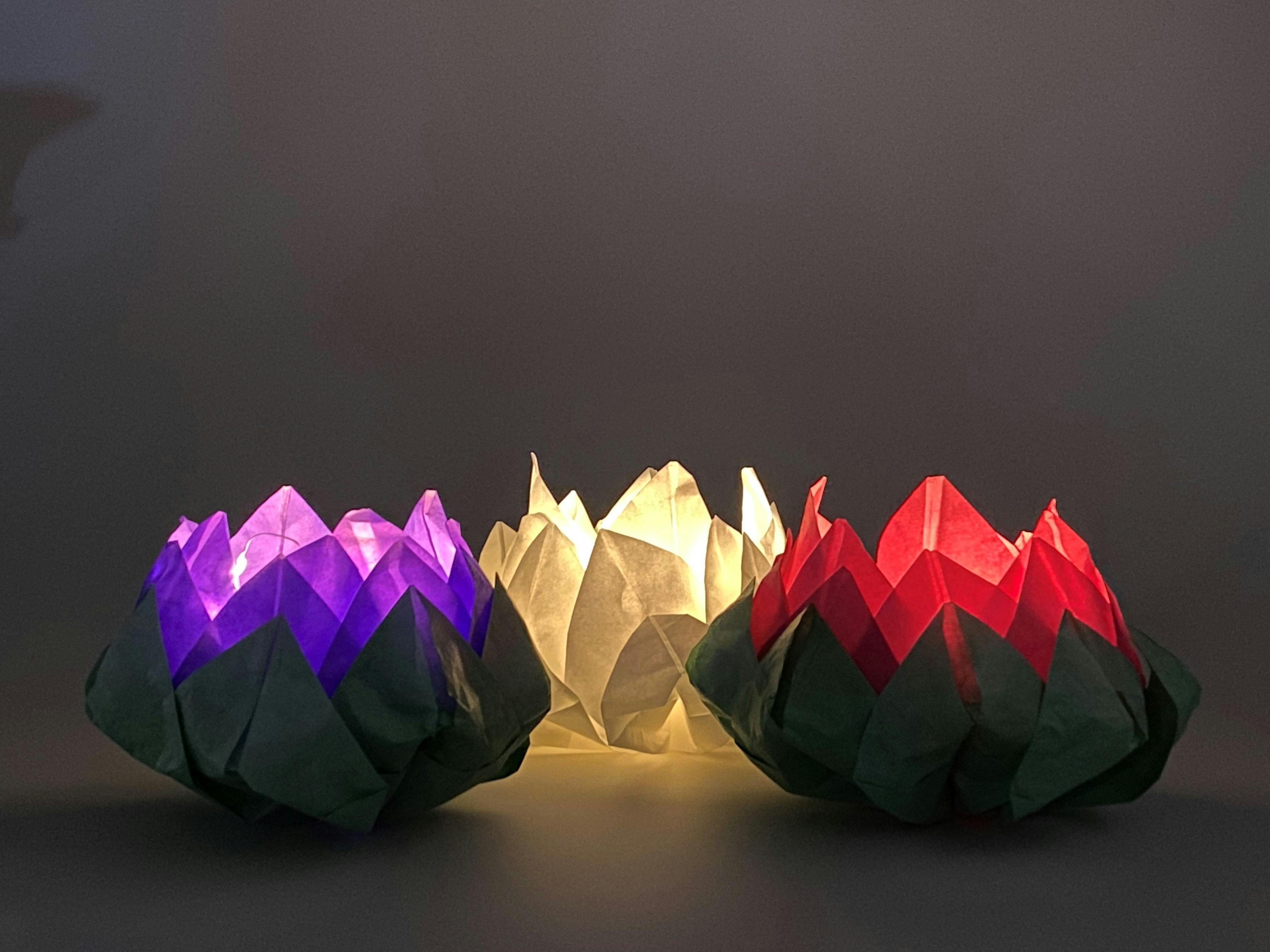 Riverlights Adult Lantern Making Workshop