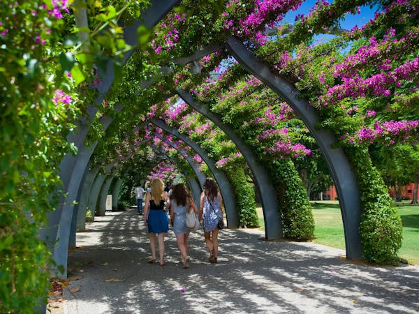 South Bank Parklands - Brisbane, Queensland 