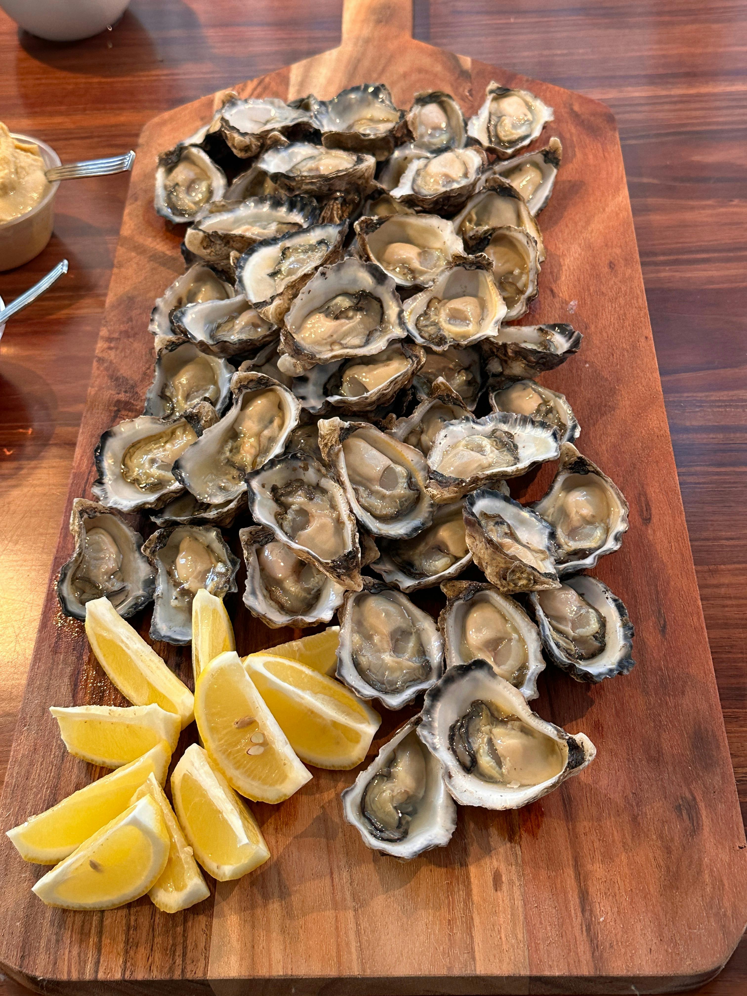 Shucked Mangrove Jack oysters