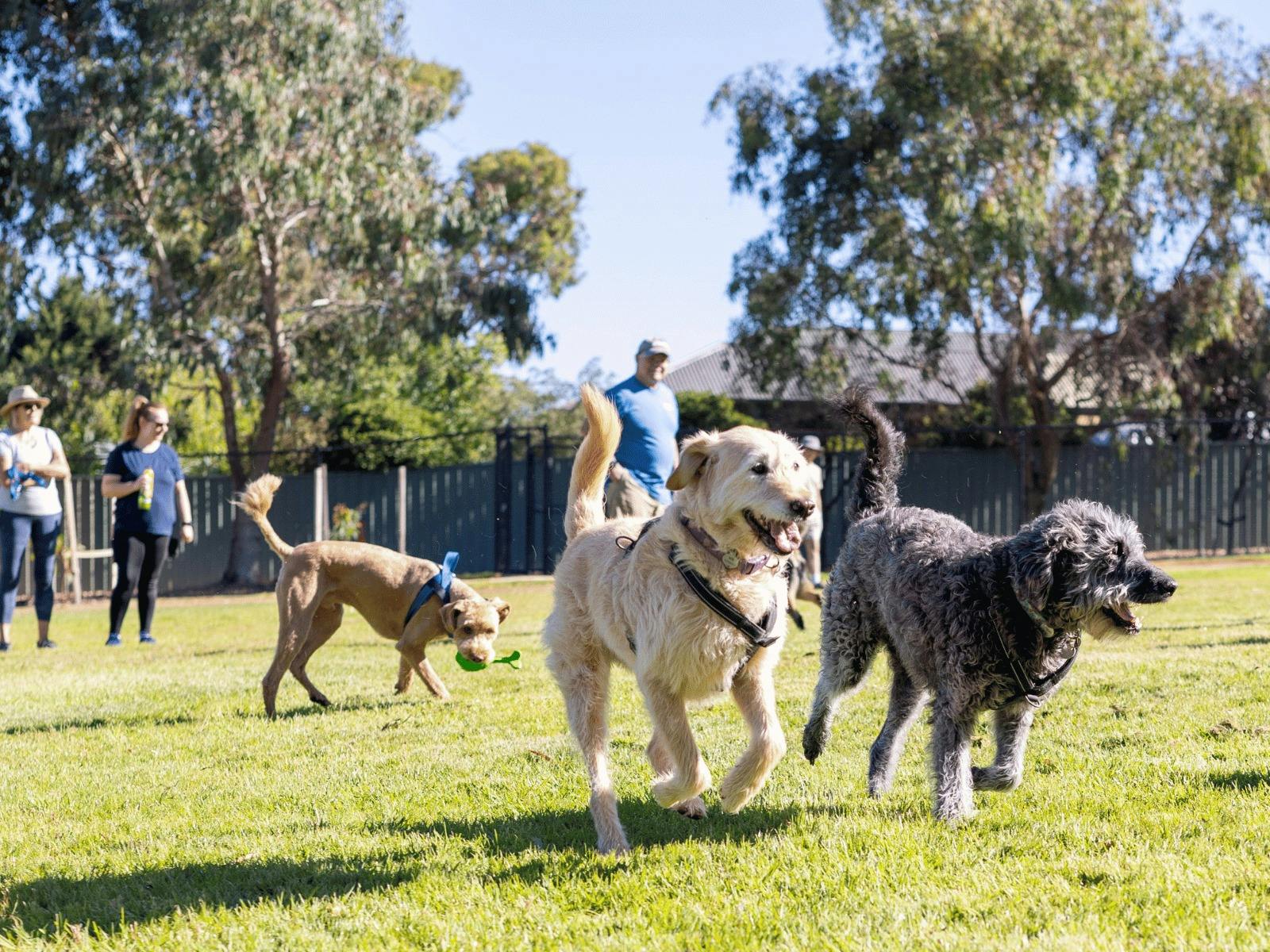 Woofside Road Dog Park