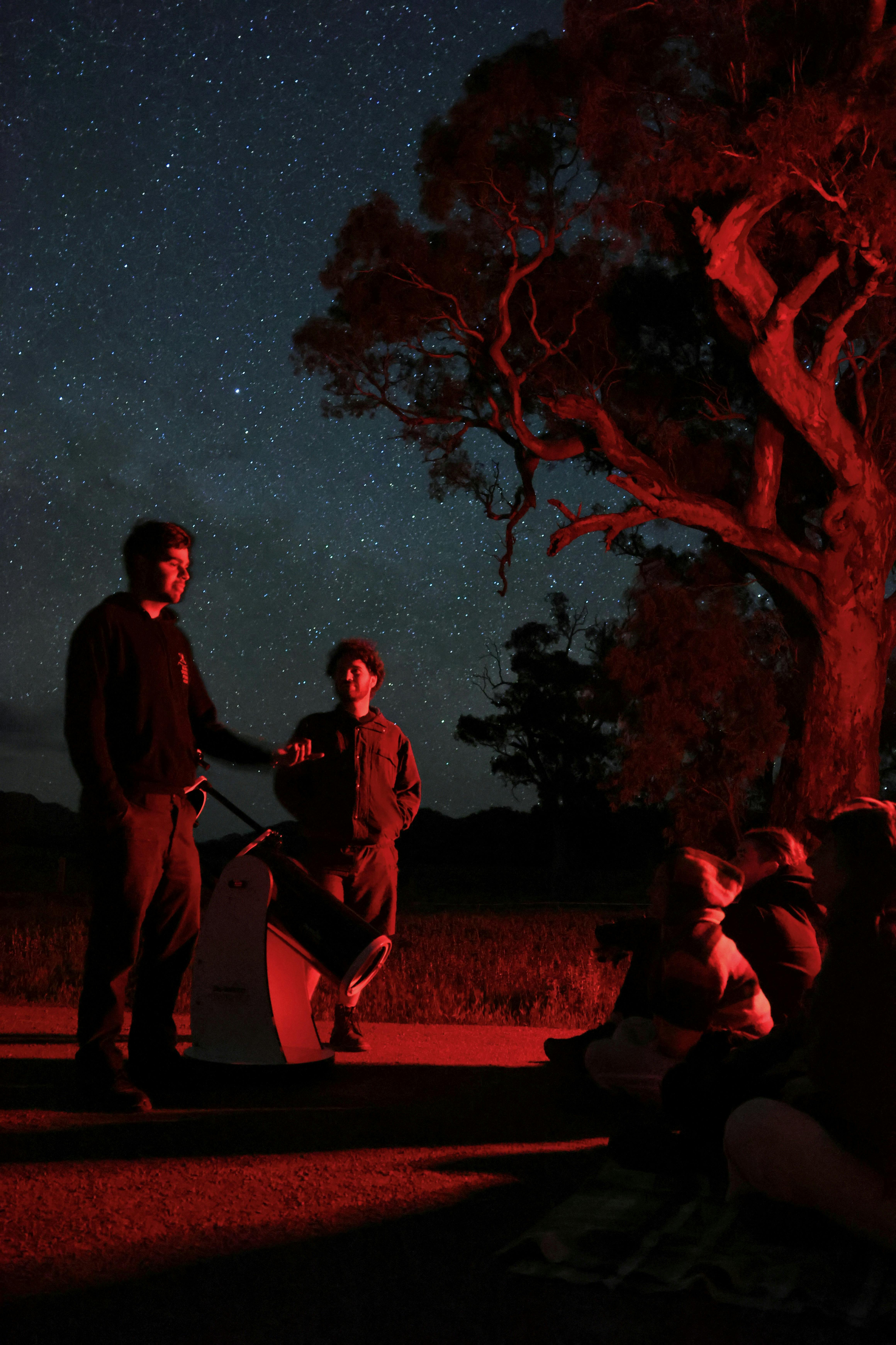 star gazing 3