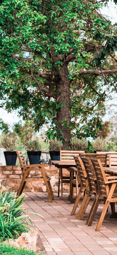 Timber tables and chairs arranged on a paved area underneath a large tree.