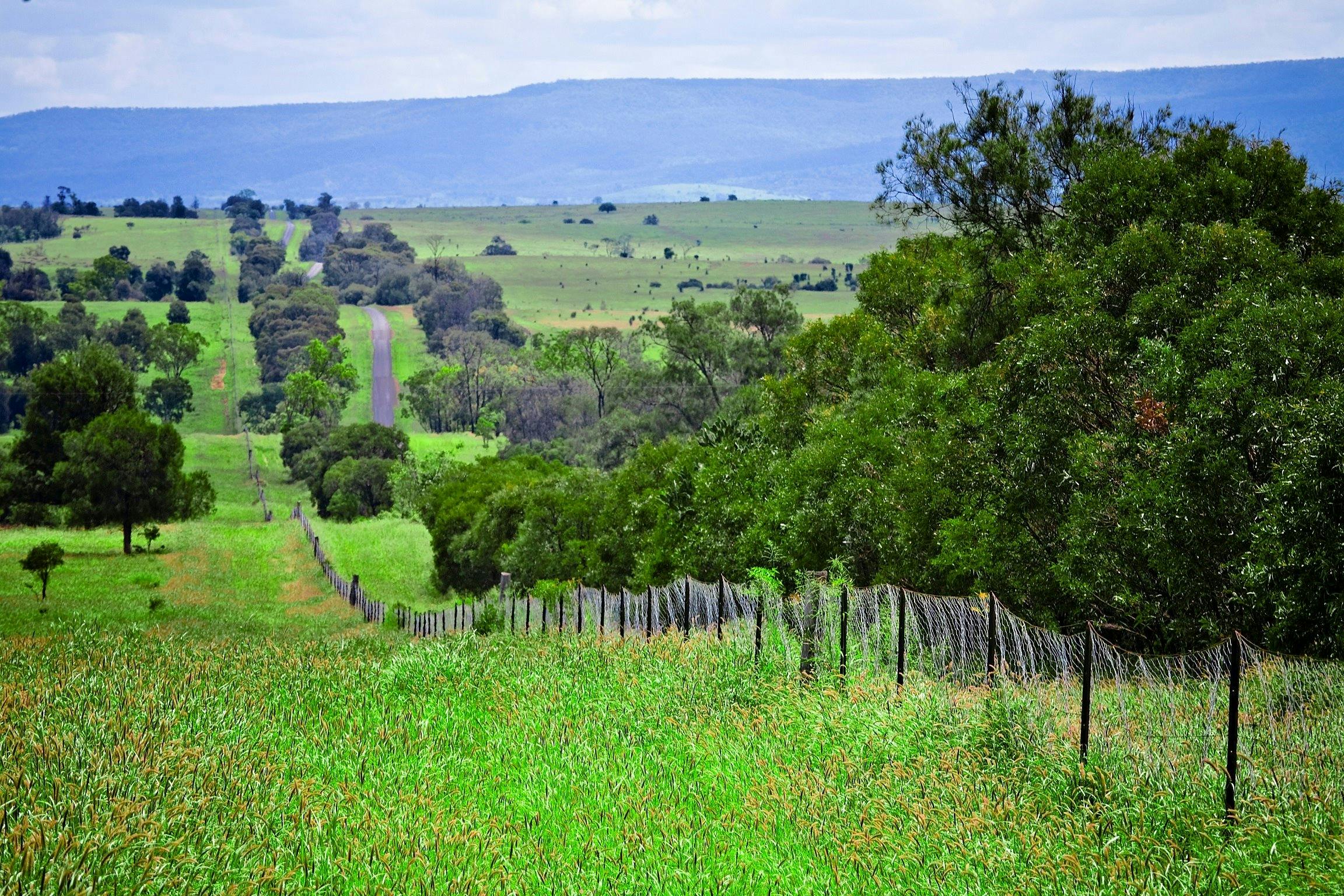 Wild Dog (Dingo) Barrier Fence
