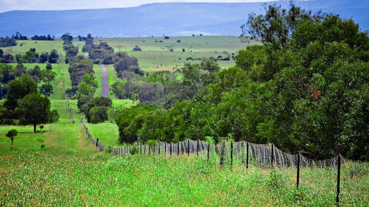 Wild dog 2025 barrier fence