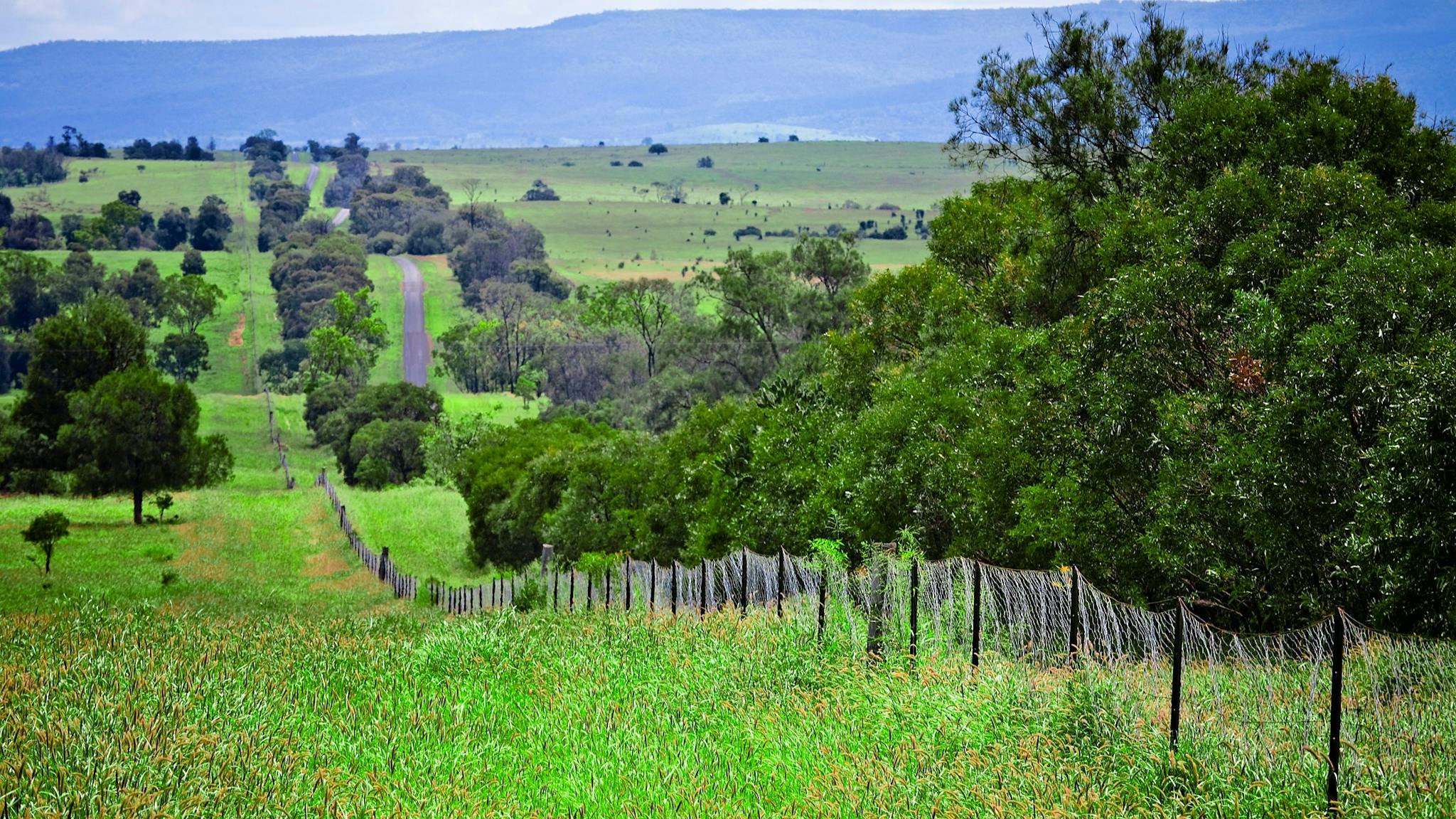 Injune, Dingo Barrier Fence. Injune, Dingo Barrier Fence.