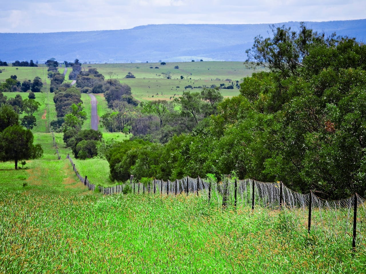 Injune | Outback Queensland