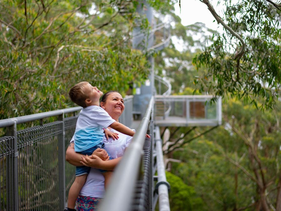 Junior Forest Ranger at Illawarra Fly Treetop Adventures