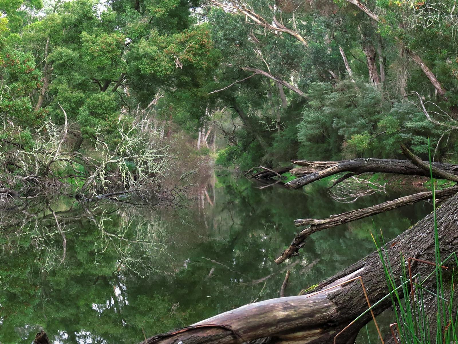 Crawford River Regional Park