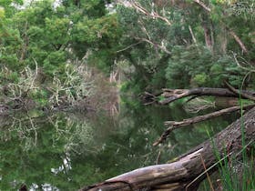 Crawford River Regional Park