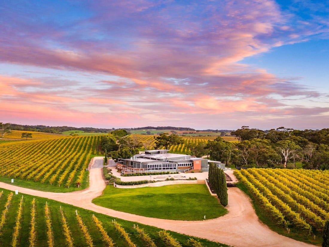 The Lane Vineyard - Experiences - Hahndorf, Tour | South Australia