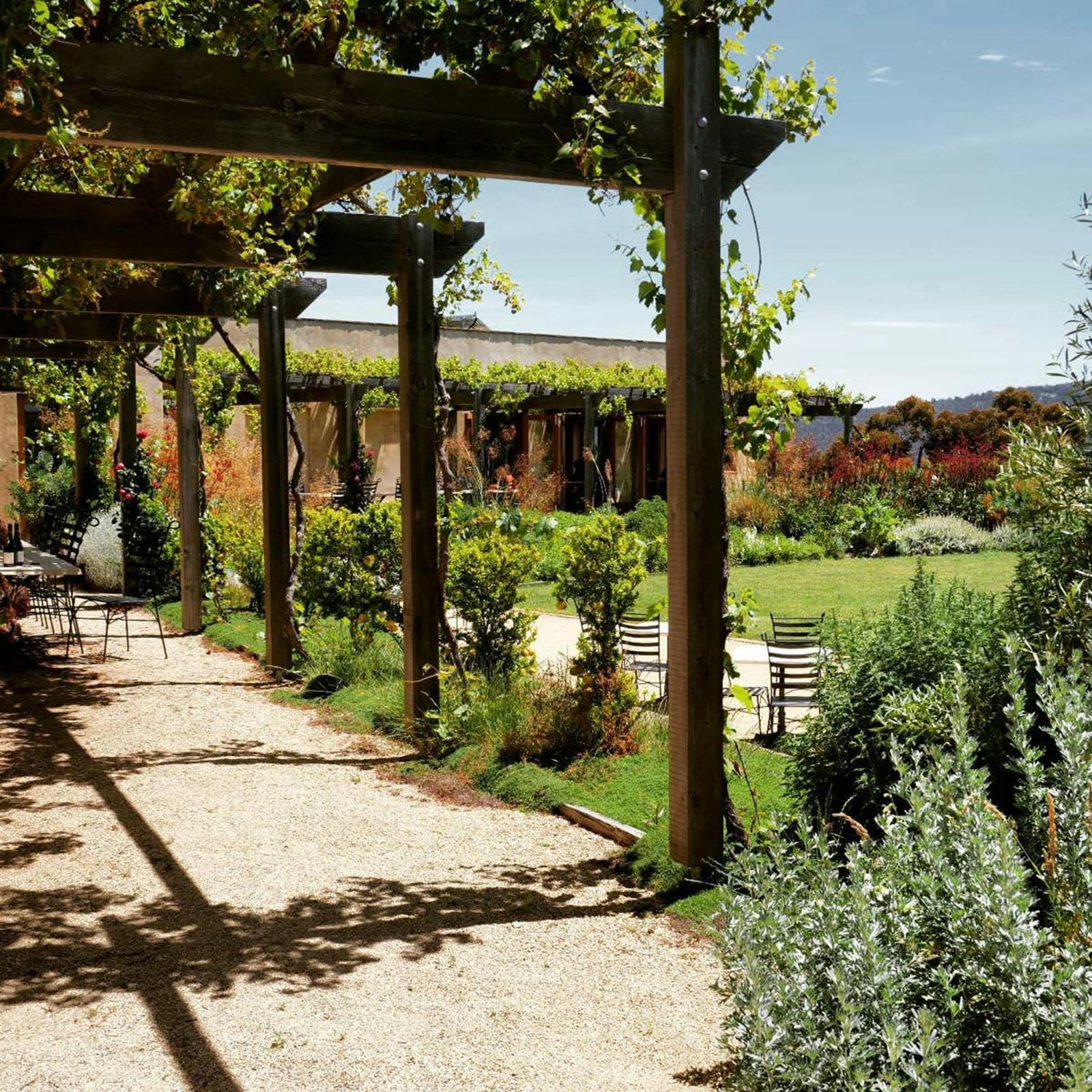 Vineyard rows at Stefano Lubiana Wines overlooking the River Derwent in Tasmania
