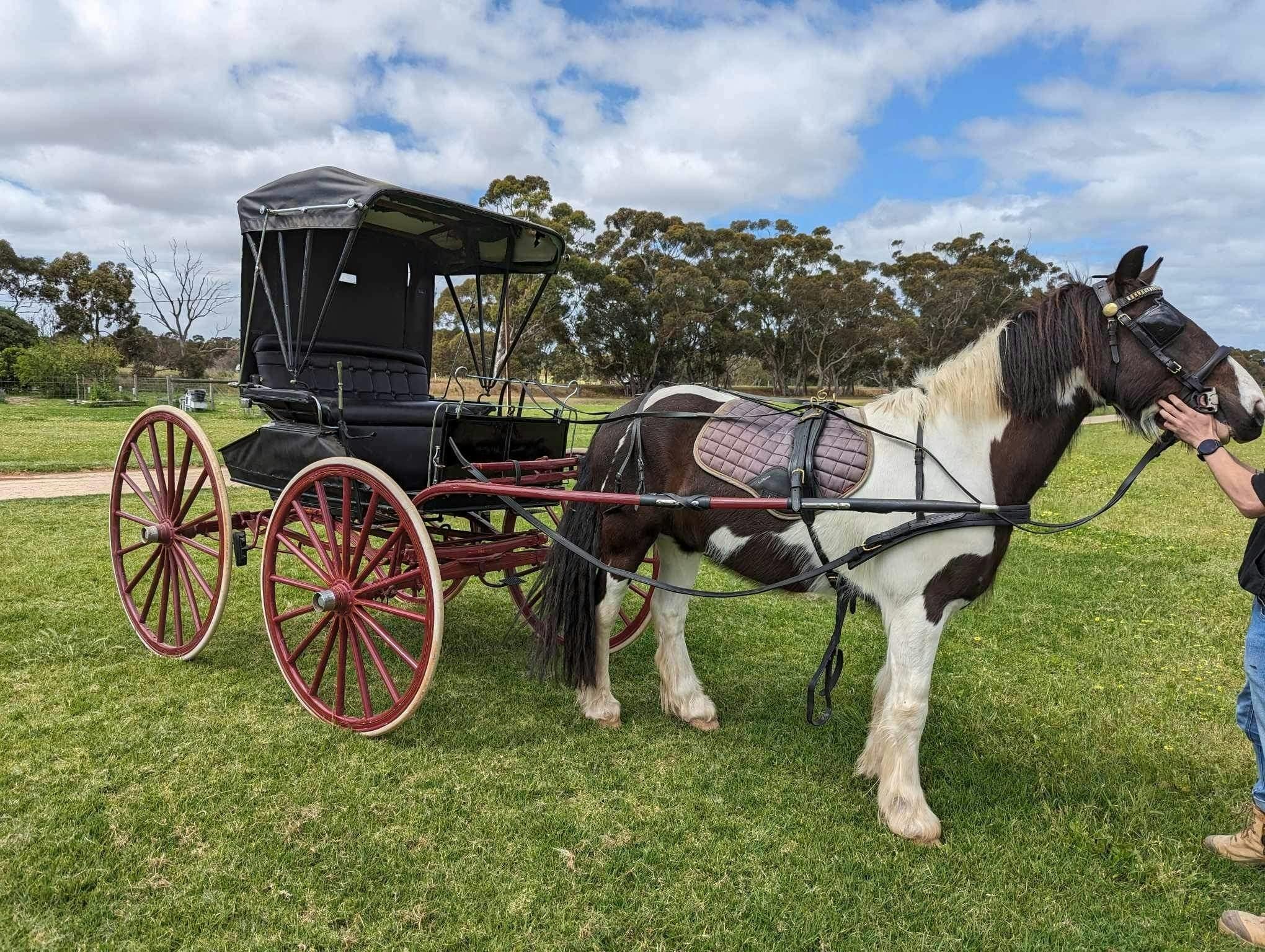 horse and carriage
