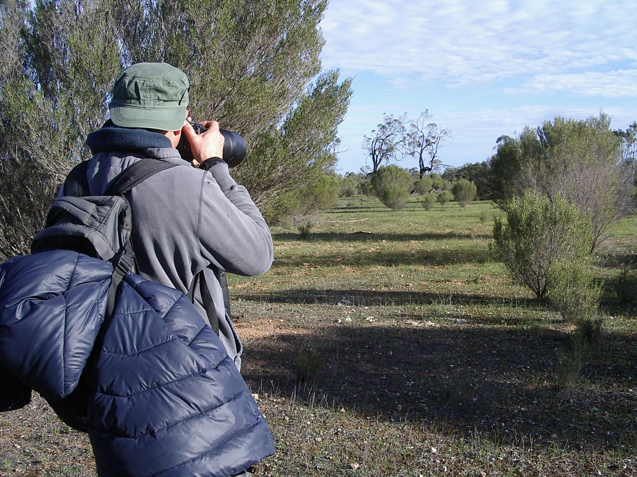 2 day Wombat Tracking Tour