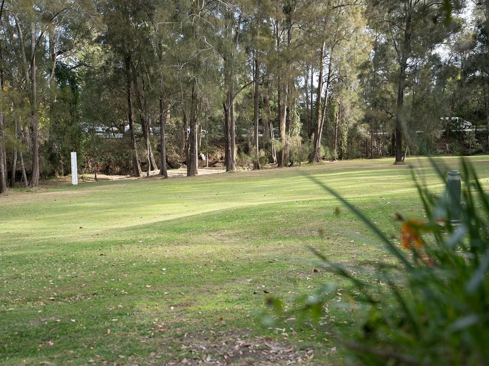 Garden at Reflections Coffs Harbour
