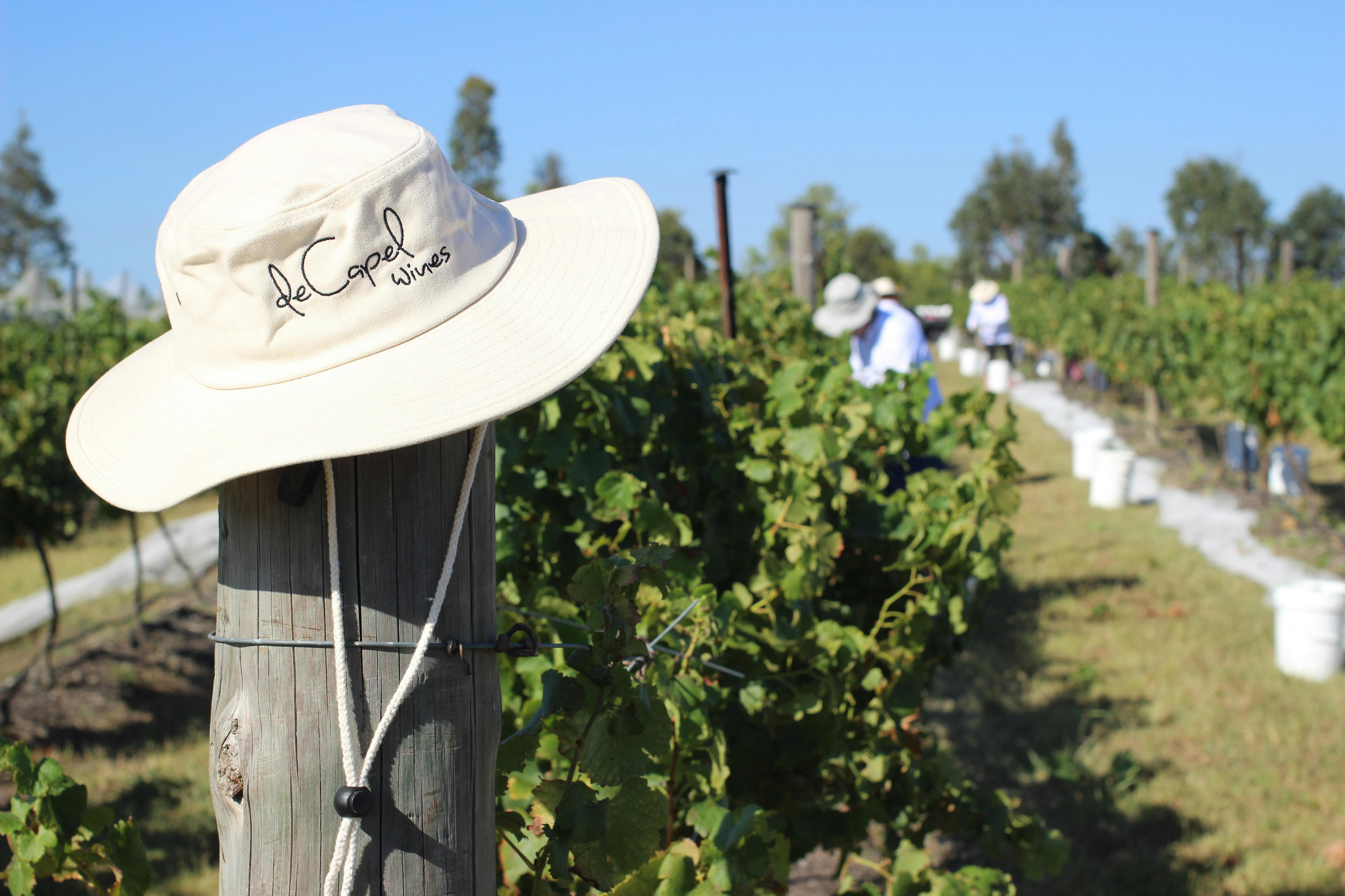 de Capel Wines