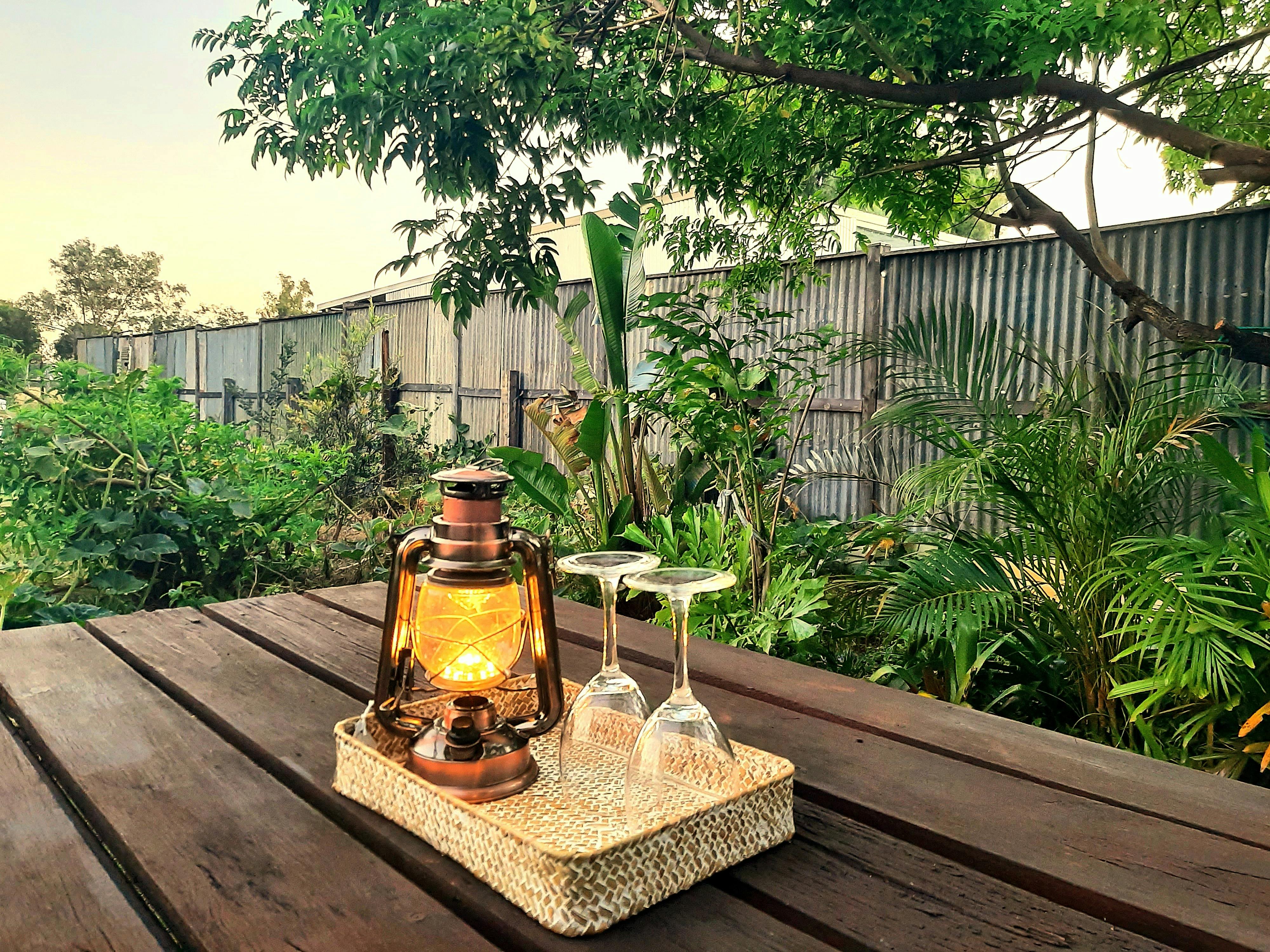 Lovely outdoor spaces surrounded by trees, plants and nature