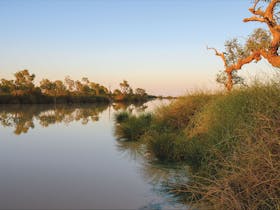 Sunset in the Australian outback, camped by a billabong