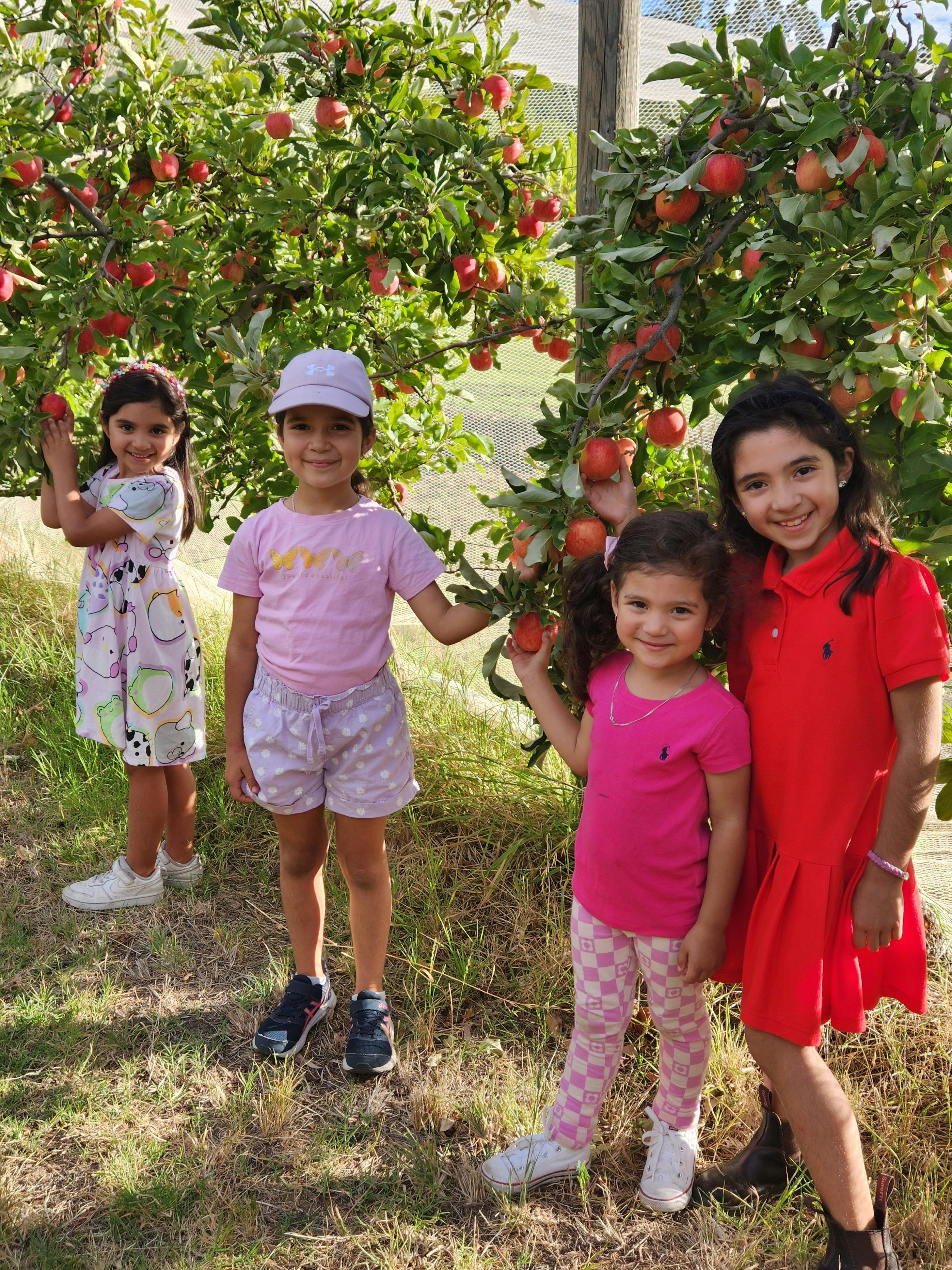 Lennane Orchards
