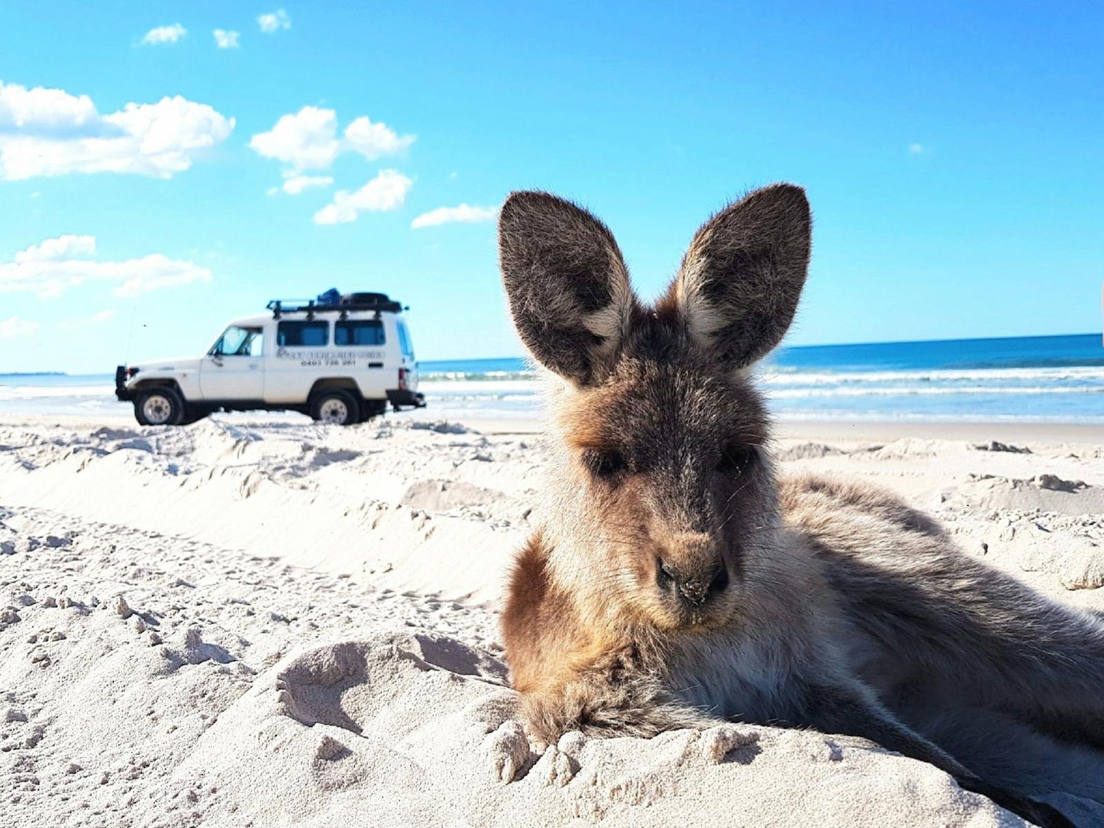 4WD G'day Adventure Tours