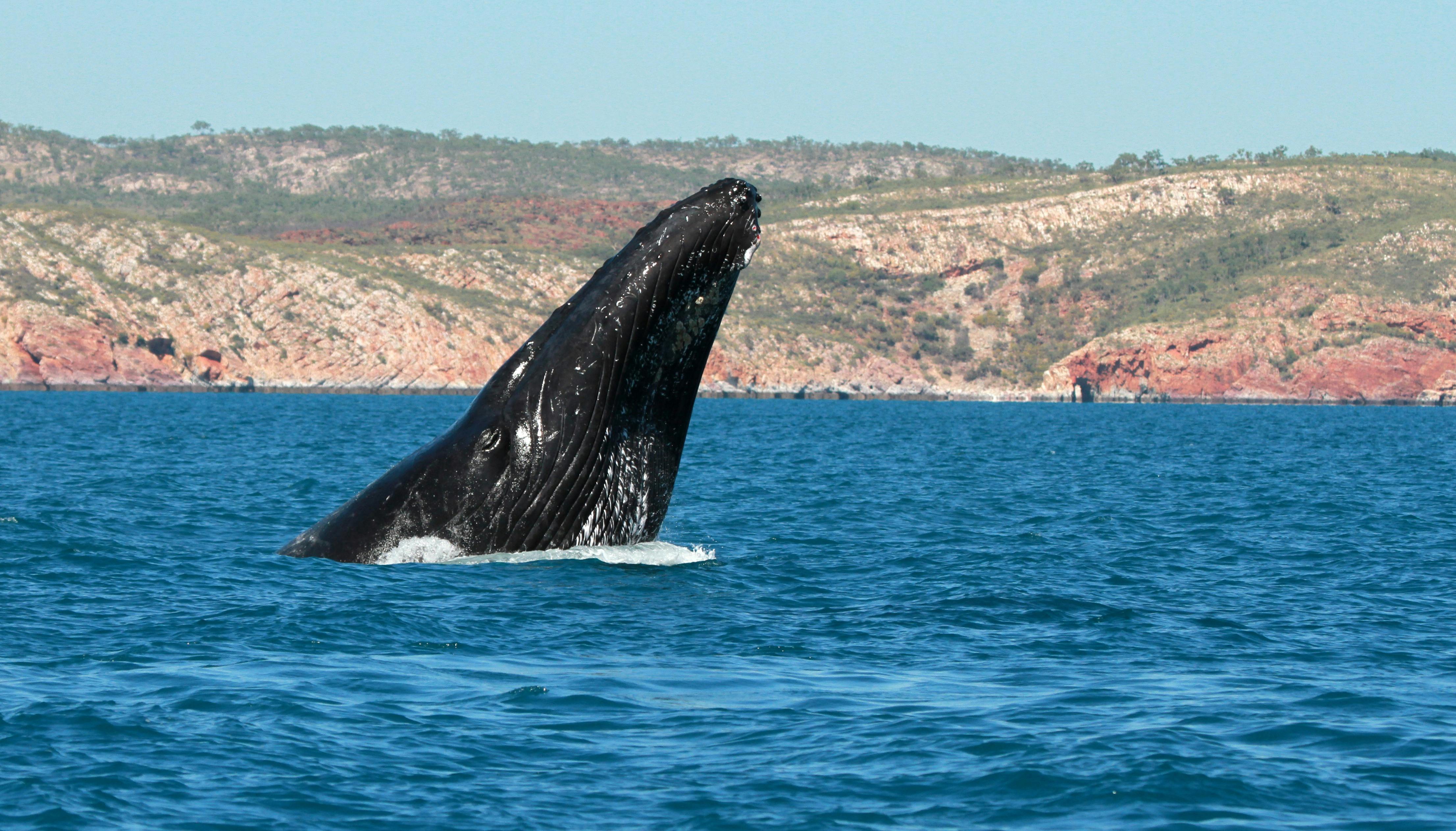 PONANT - Australia's Iconic Kimberley, Kimberley, Western Australia