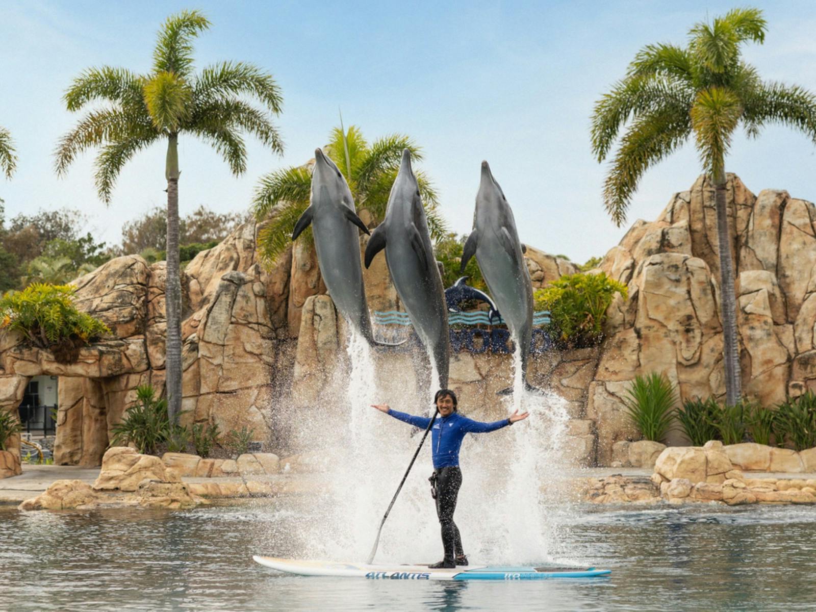ONE Dolphin Presentation - Sea World ONE Dolphin Presentation - Sea World