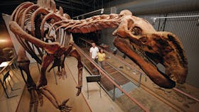 Flinders Discovery Centre
