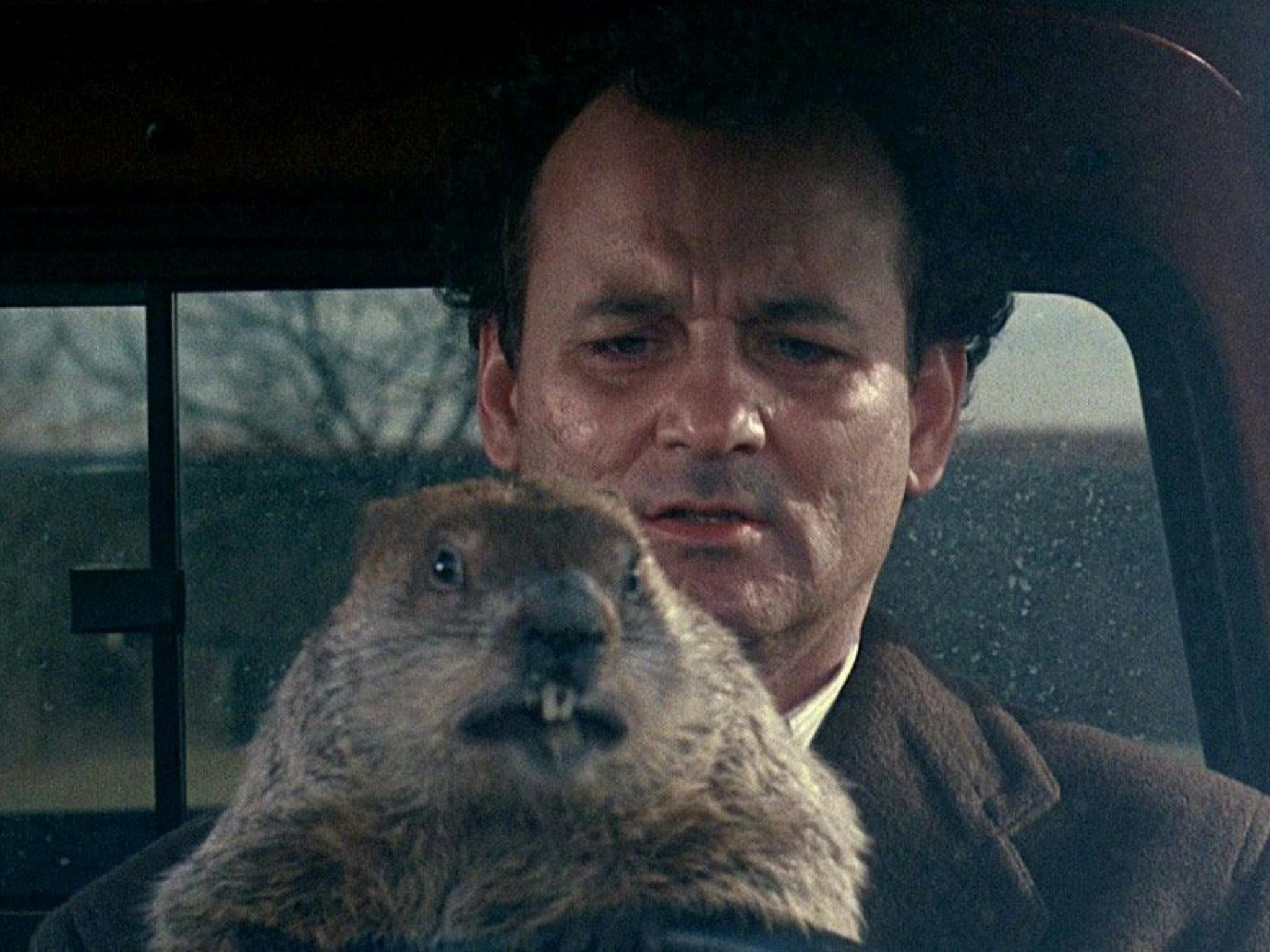 Still from Groundhog Day showing a man sitting in a car with a groudhog on his lap