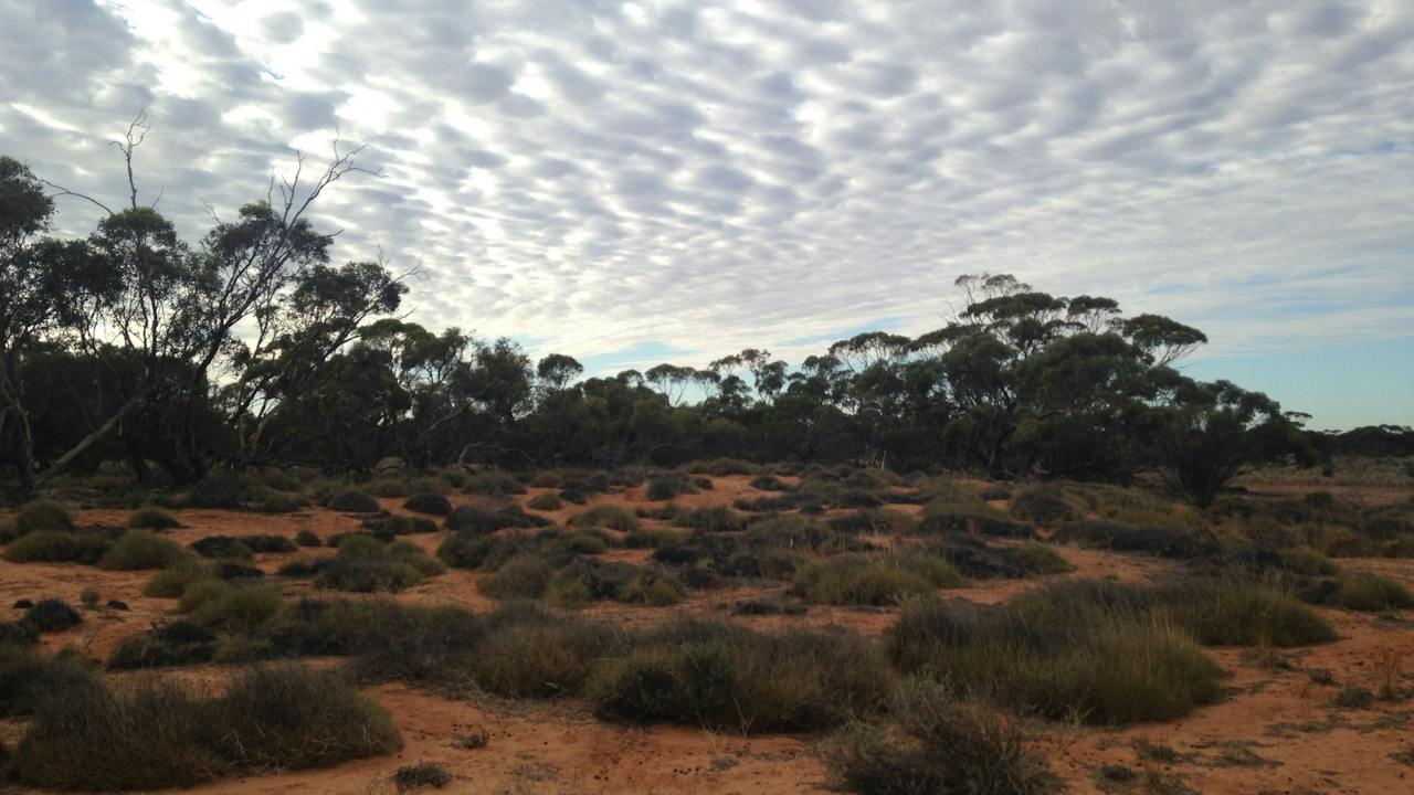 Pooginook Conservation Park