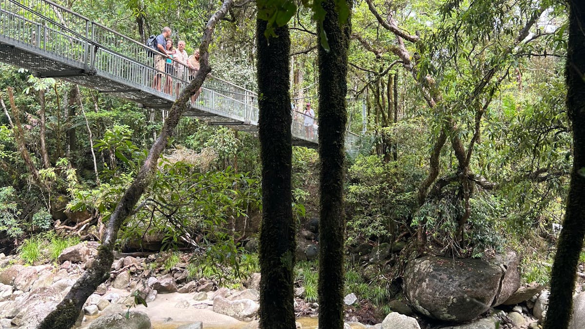 private tour Daintree mossman gorge