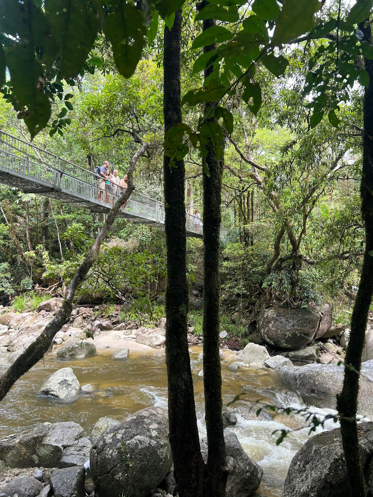 private tour Daintree mossman gorge