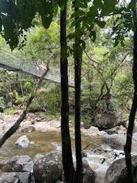 private tour Daintree mossman gorge